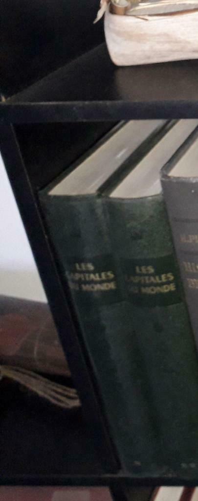 LES CAPITALES DU MONDE 2 volumes, Livres, Enlèvement ou Envoi, 20e siècle ou après, Utilisé