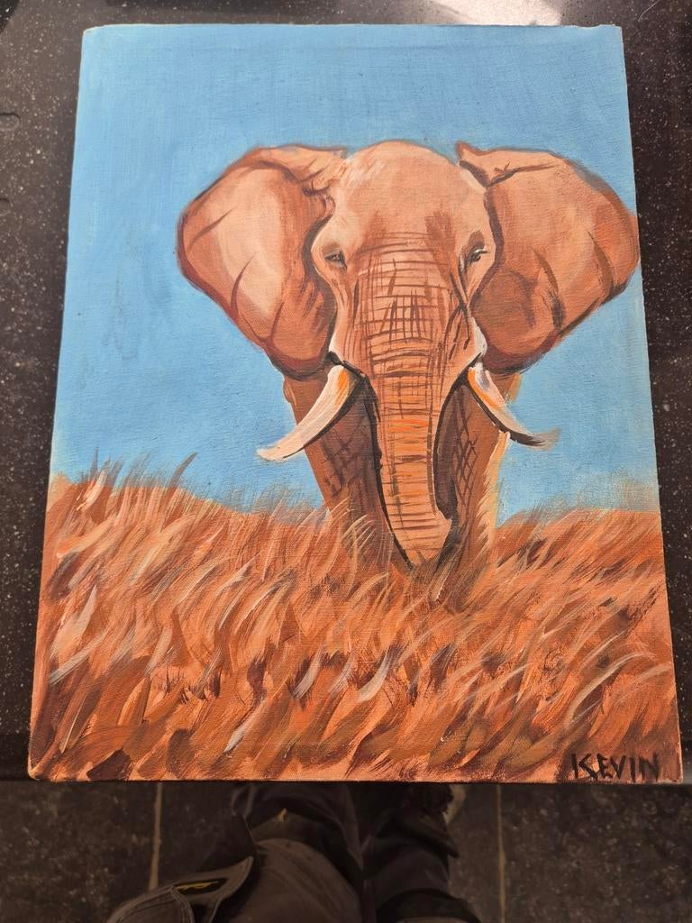 Schilderij te koop, Antiek en Kunst, Ophalen