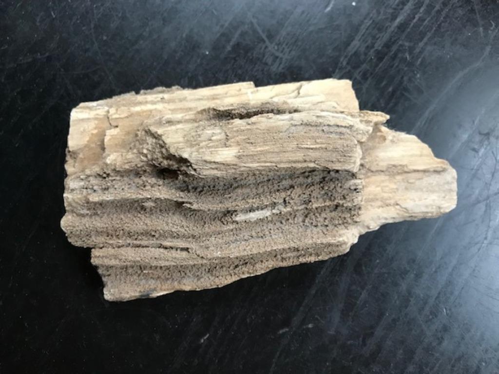ruw versteend hout, Ophalen of Verzenden