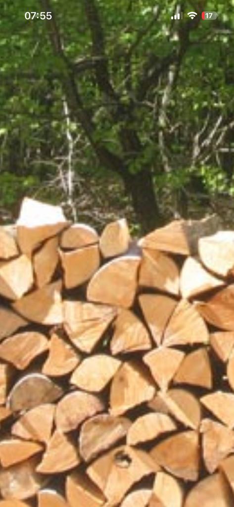 Bois de chauffage supec sec 3 ans, Tuin en Terras, Brandhout, Ophalen, Eikenhout