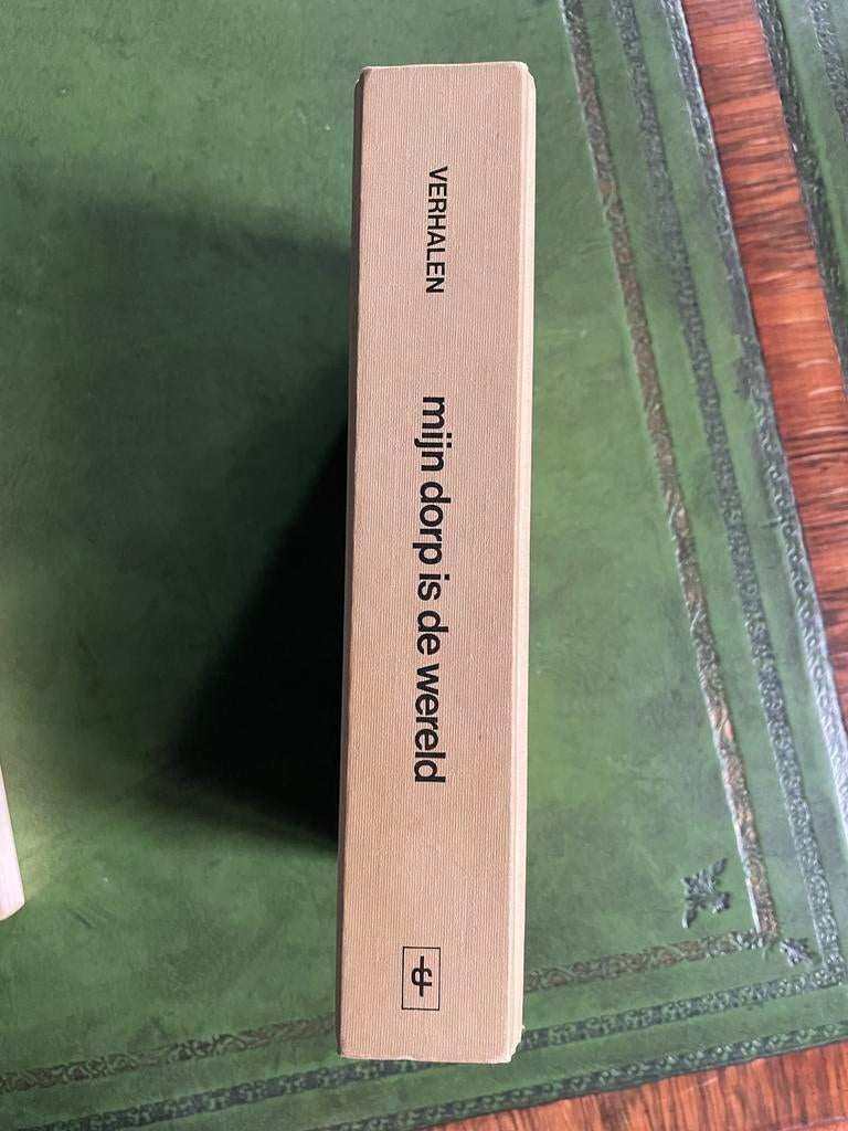 Mijn dorp is de wereld, Boeken, Ophalen of Verzenden, Gelezen, België