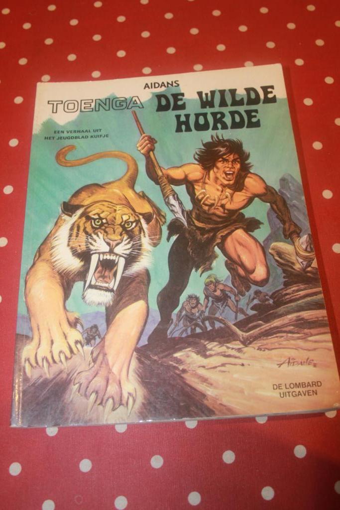 Toenga, Gelezen, Ophalen of Verzenden, Aidans, Meerdere stripboeken