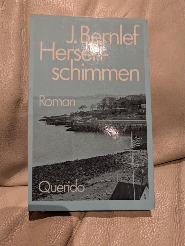 Klassieker uit de Nederlandse Literatuur: Hersenschimmen – J, Boeken, Ophalen