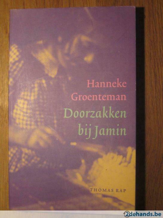 Doorzakken bij Jamin(Hanneke Groenteman), Ophalen of Verzenden, Gelezen