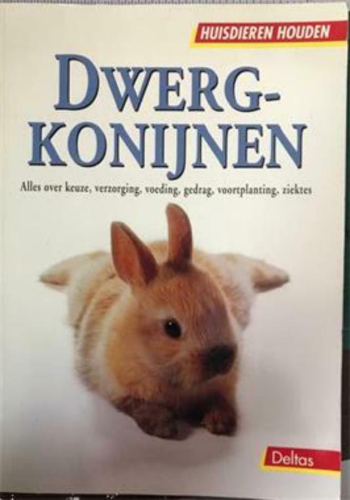 Dwergkonijnen, deltas, Ophalen of Verzenden, Gelezen, Konijnen of Knaagdieren