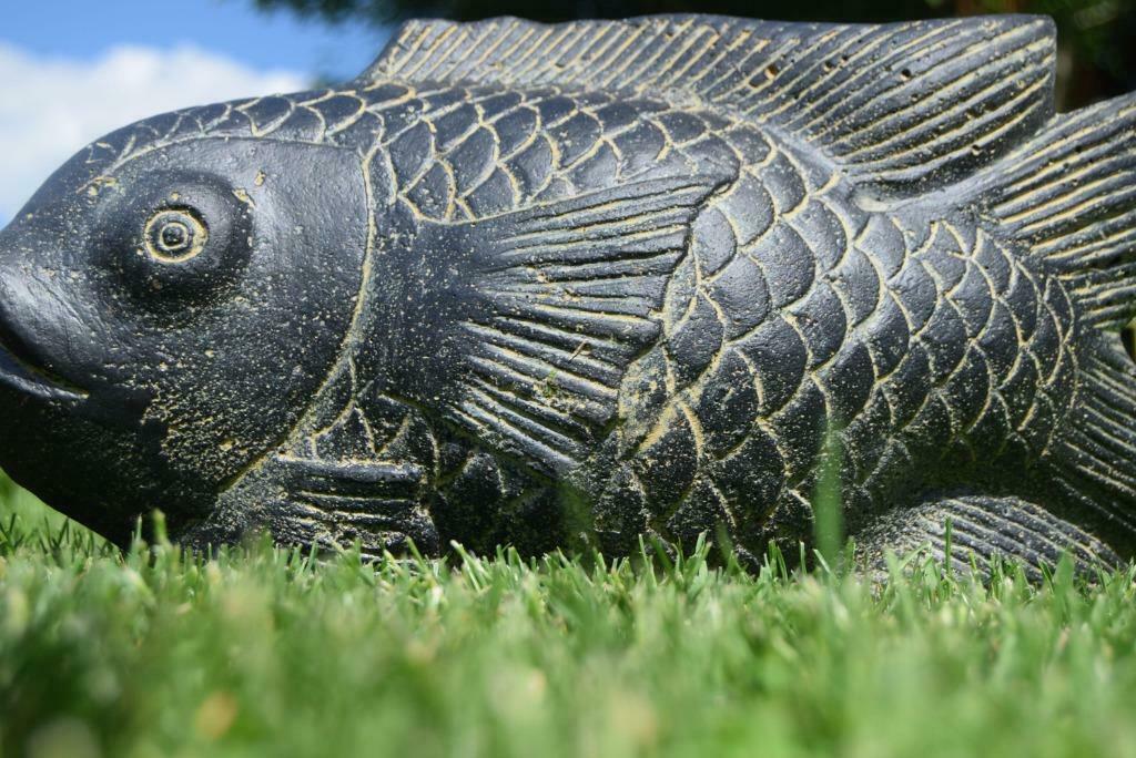 Statue poisson fontaine en pierre patinée, Enlèvement ou Envoi, Neuf, Granit, Fontaine