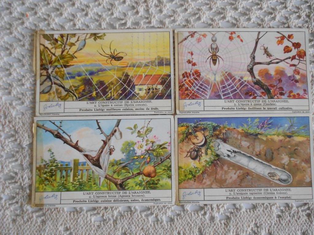 5 prenten van Liebig "L'art constructif de l'araignée", Verzamelen, Foto's en Prenten, Gebruikt, Ophalen of Verzenden, 1940 tot 1960