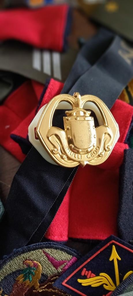 Militaire kentekens, Ophalen of Verzenden