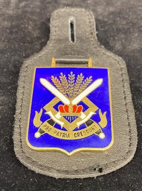 Breloque Kadettenschool, Ophalen of Verzenden, Landmacht, Embleem of Badge