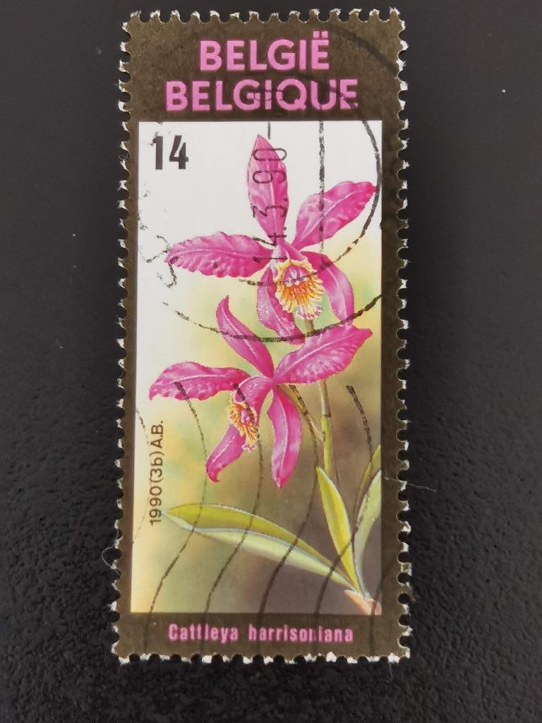 Belgique 1990 - fleurs - orchidée, Enlèvement ou Envoi, Affranchi, Autre