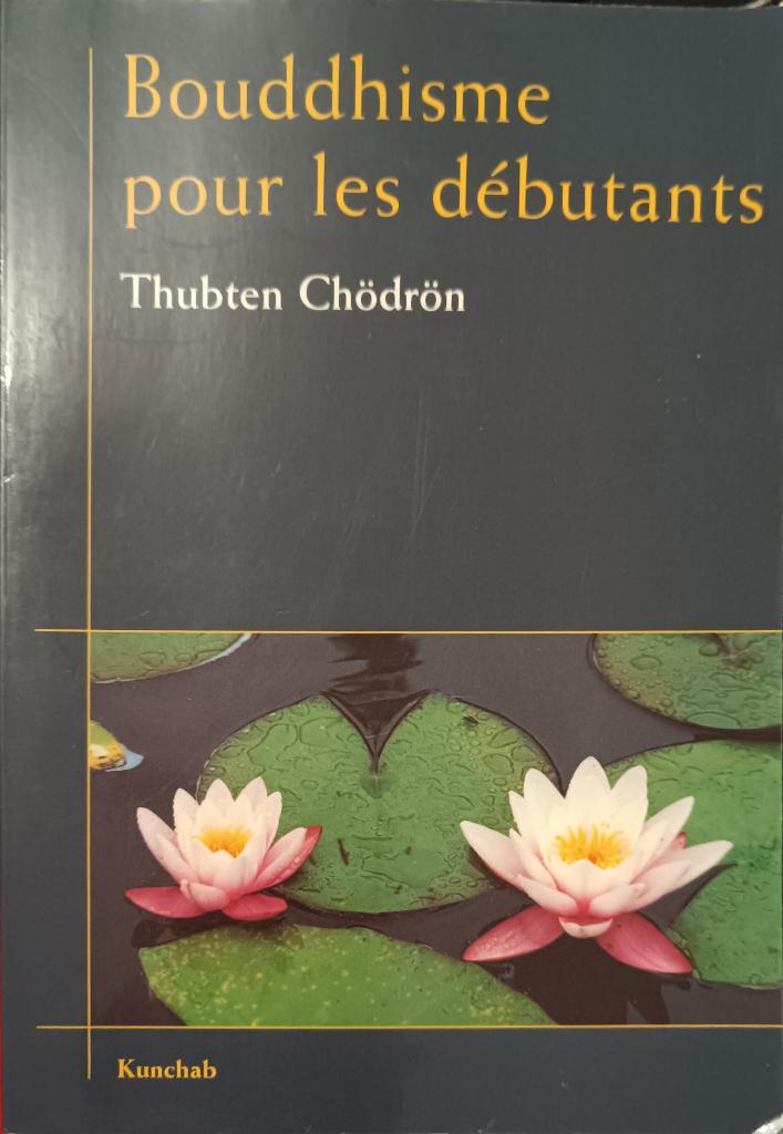 Bouddhisme pour les débutants : Thubten Chödrön, Livres, Ésotérisme & Spiritualité, Enlèvement ou Envoi, Méditation ou Yoga, Utilisé