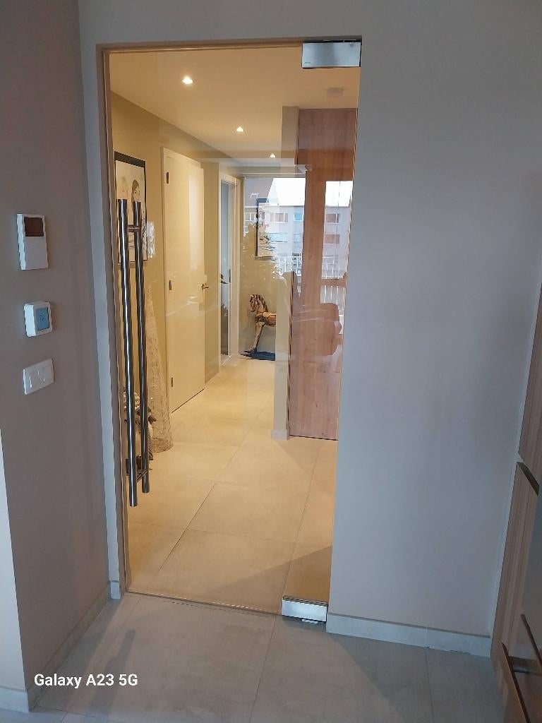 Glazen binnendeur compleet, Doe-het-zelf en Bouw, Deuren en Vliegenramen, Ophalen, 80 tot 100 cm, Binnendeur, 200 tot 215 cm