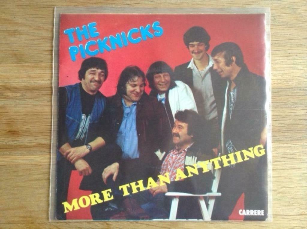 single the picknicks, Cd's en Dvd's, Vinyl Singles, Single, Pop, 7 inch, Ophalen of Verzenden