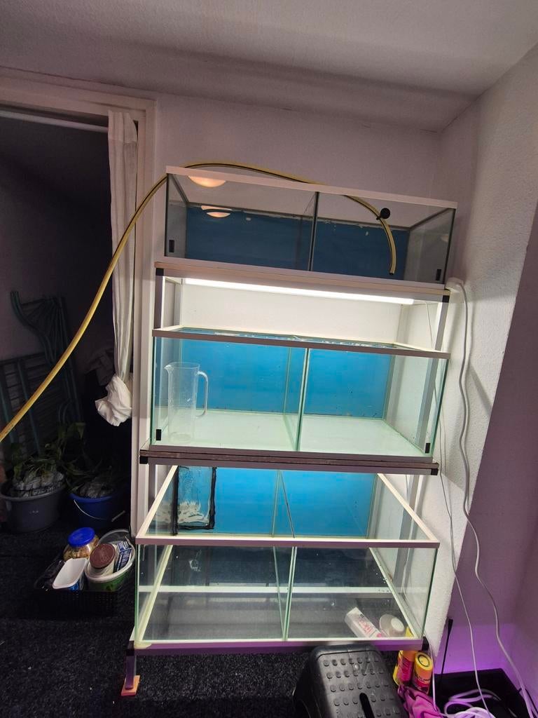 Kweek aquarium, Dieren en Toebehoren, Vissen | Aquaria en Toebehoren, Ophalen