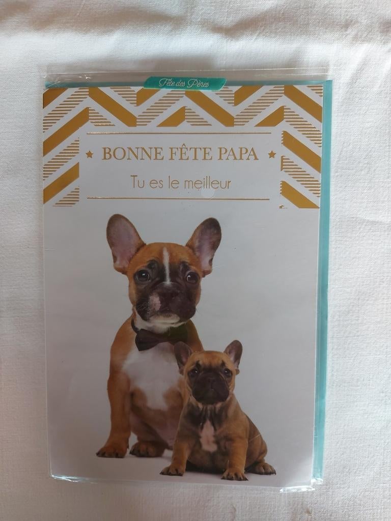 carte fête des pères, Verzamelen, Postkaarten | Dieren, Ophalen of Verzenden, Ongelopen