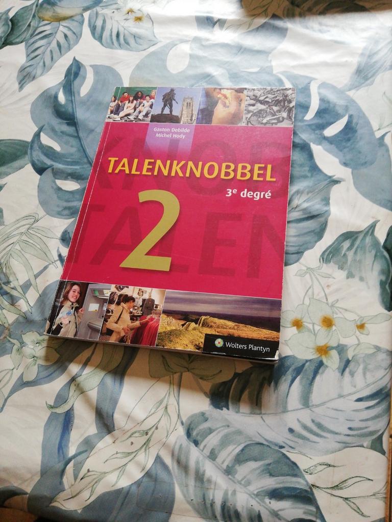 Talenknobbel 2 Néerlandais. 3eme degré ens. secondaire., Enlèvement ou Envoi, Comme neuf, Secondaire, Néerlandais