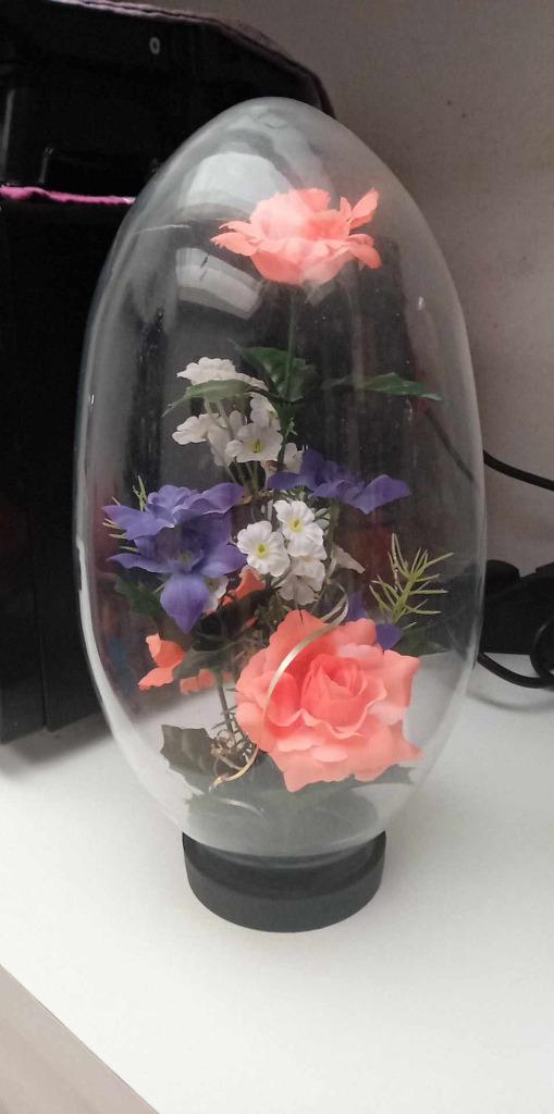 decoration cloche en verre, Enlèvement, Comme neuf
