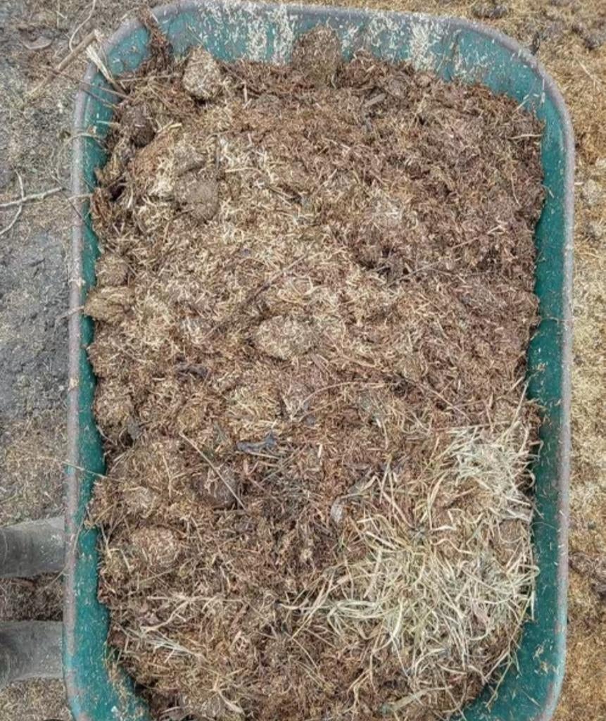 Paardenmest  gratis af te halen!!, Dieren en Toebehoren, Ophalen