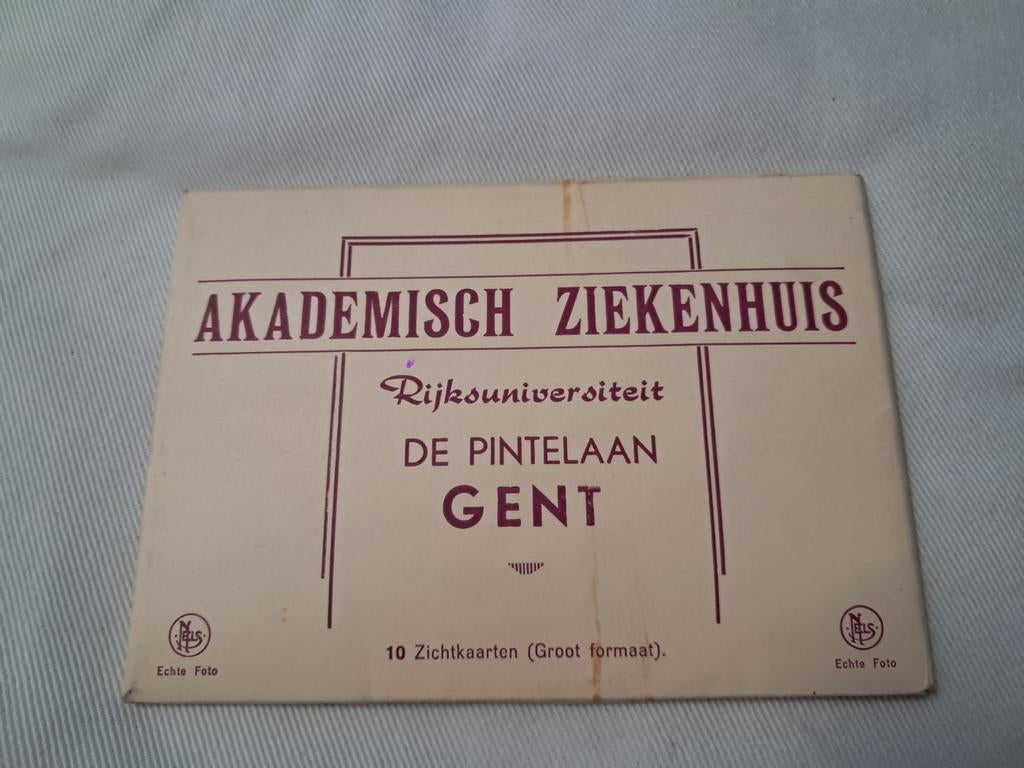 Lot de 10 chevaux non décrits, hôpital universitaire de Gand, Enlèvement ou Envoi, Comme neuf