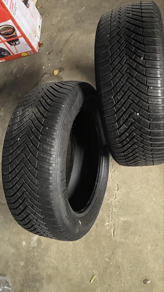 2Pneus Continental

AllSeasonContact

195/55 R16 91 V XL, 4 Saisons, 16 pouces, Pneu(s), Enlèvement