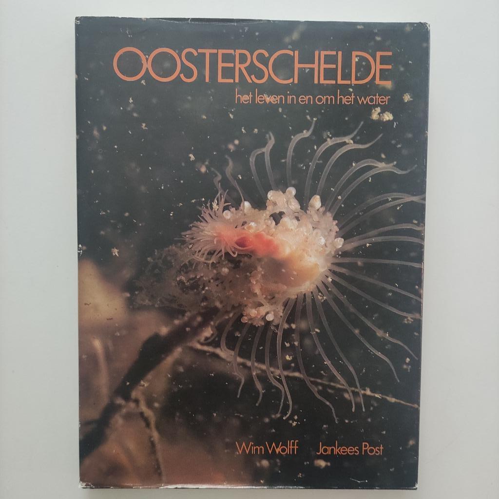 Oosterschelde, het leven in en om het water, Ophalen of Verzenden