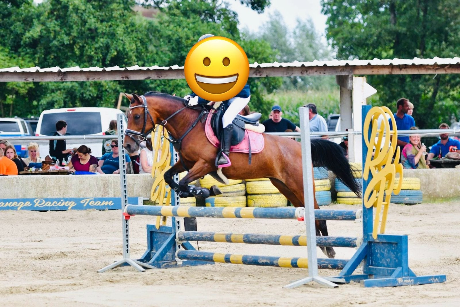 Halve stal gezocht, Dieren en Toebehoren, Merrie, Minder dan 160 cm, 7 tot 10 jaar, Recreatiepaard