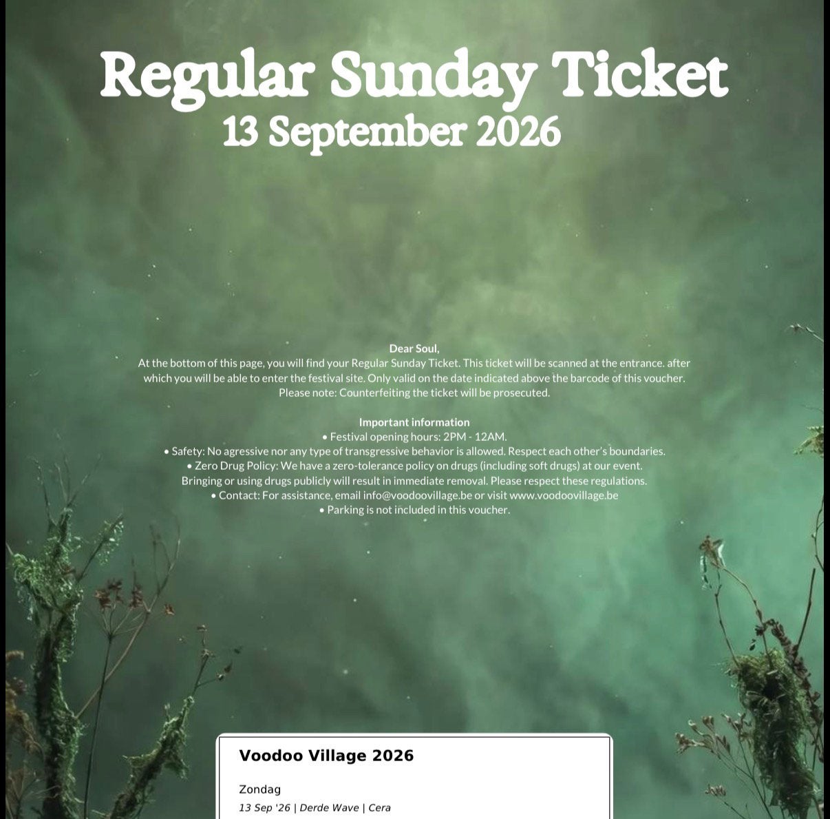 VooDoo village - zondagticket, Tickets en Kaartjes, Eén persoon
