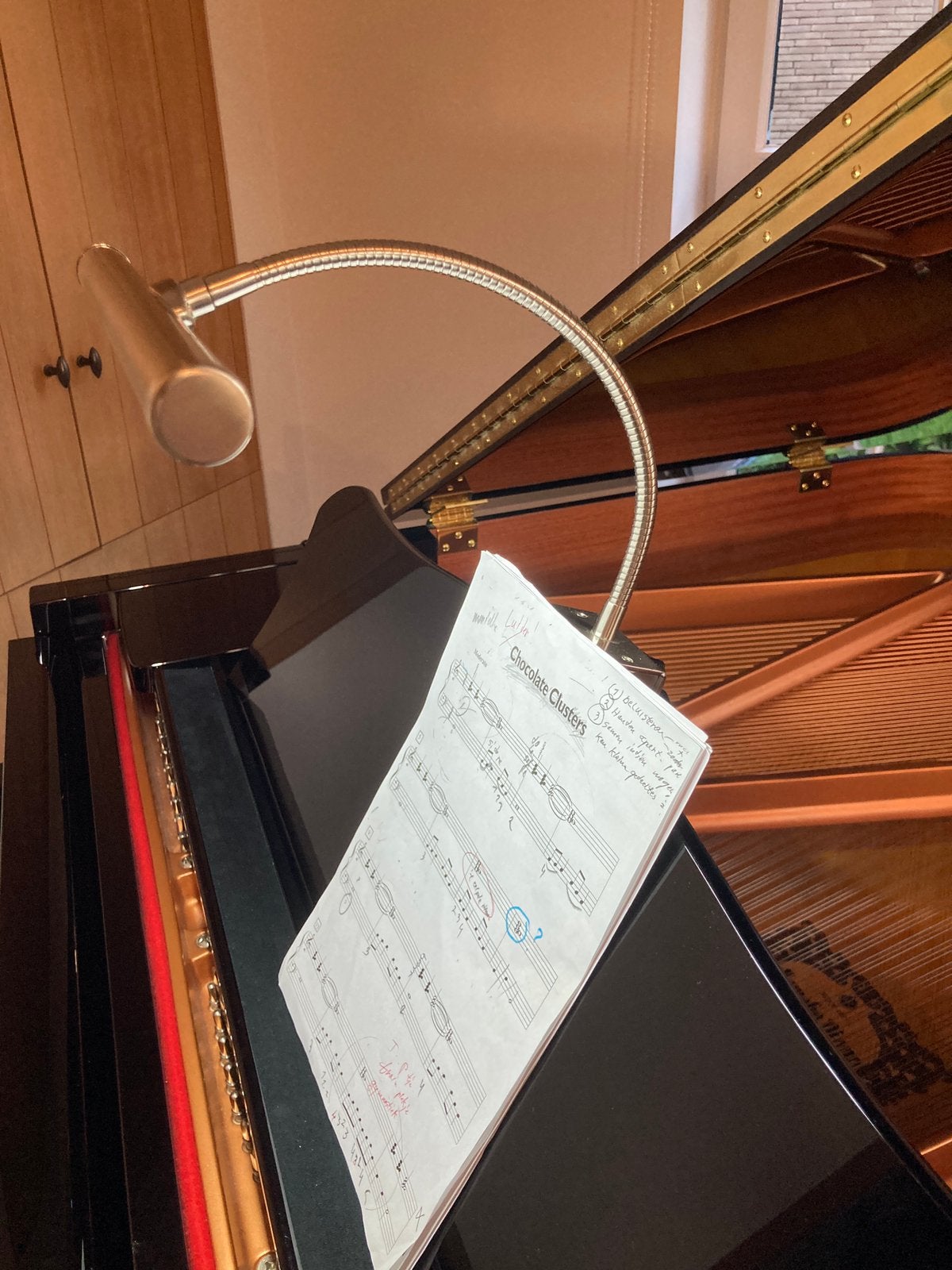 LED pianolamp – aluminium – USB – flexibele zwanenhals, Muziek en Instrumenten, Piano's, Ophalen, Zo goed als nieuw, Piano