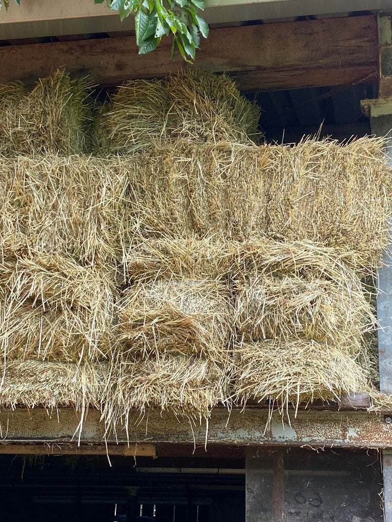 Hooi (droog of voordroog), Dieren en Toebehoren, Ophalen