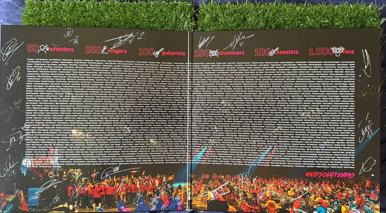 Vynil rode duivels gesigneerd uniek exemplaar, Ophalen of Verzenden, Nieuw, Overige typen