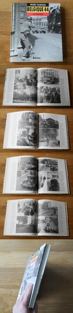 Belgique 44 (Peter Taghon) La libération, Enlèvement ou Envoi, Deuxième Guerre mondiale, Utilisé, Peter TAGHON