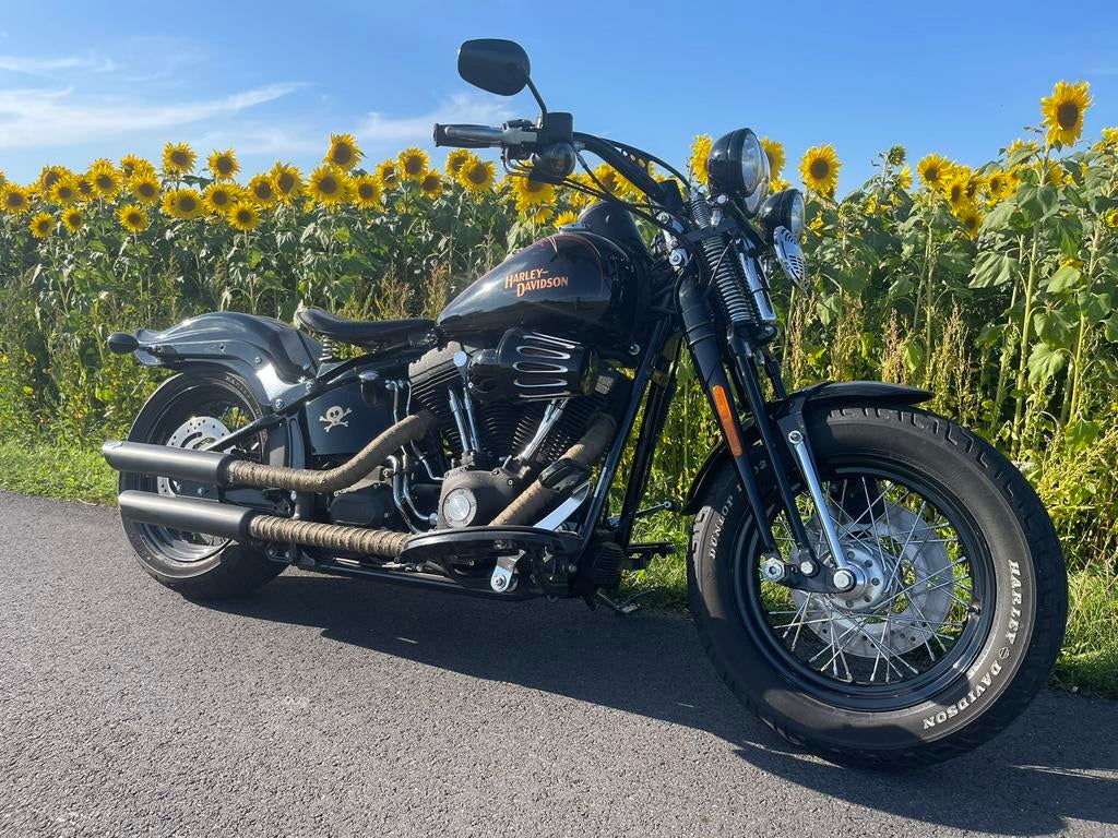 Harley Cross Bones, Motoren, Particulier