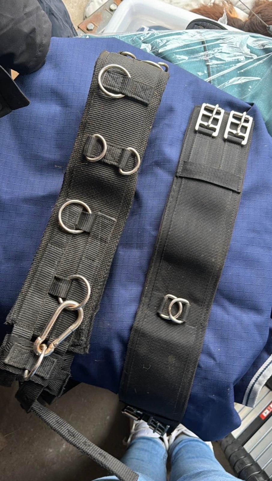 Longeersingle, Animaux & Accessoires, Enlèvement, Utilisé