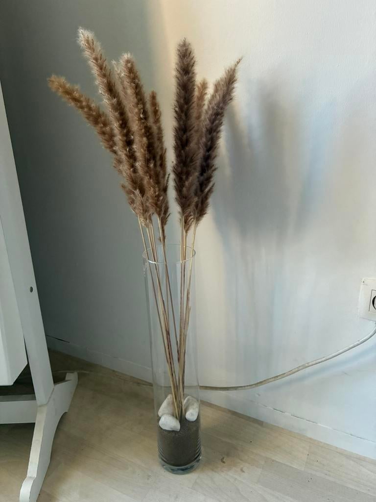 Hoge vaas met pluimen en zand/stenen, Ophalen, Zo goed als nieuw