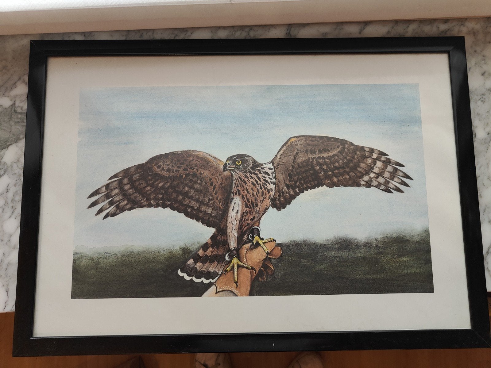 Schilderij havik, Ophalen of Verzenden