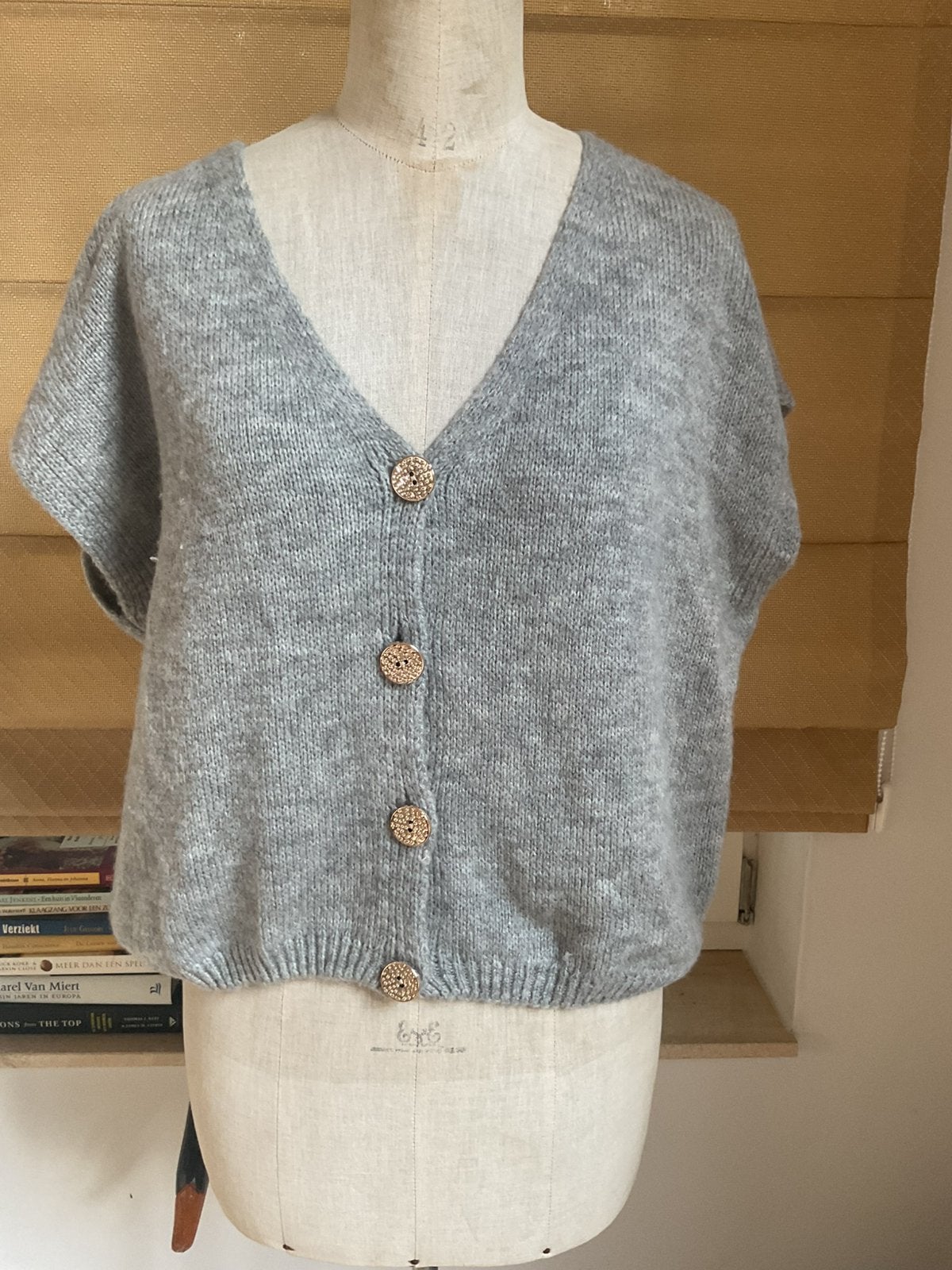 2 identieke oversized tricot vesten, Le Marais, Kleding | Dames, Truien en Vesten, Ophalen of Verzenden, Zo goed als nieuw, Overige kleuren