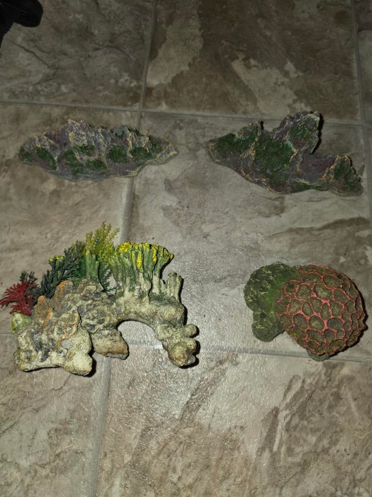 Aquariumdecor te koop, Enlèvement