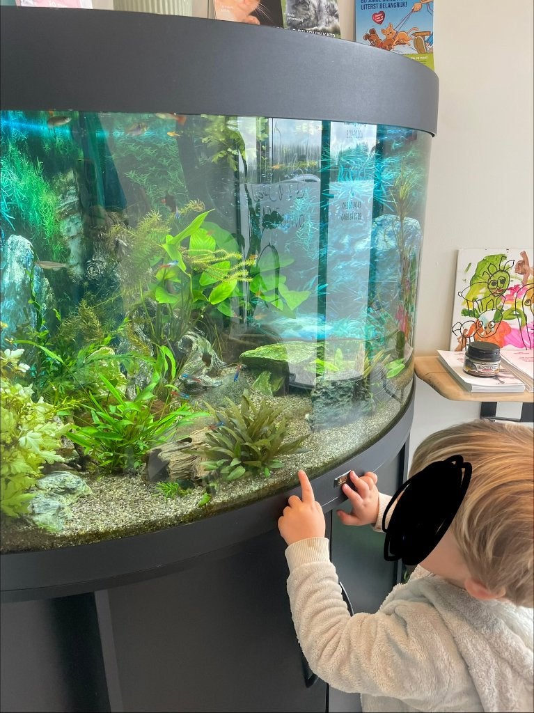 Hoek Aquarium Juwel 190 met kast en alle toebehoren, Ophalen, Inclusief vissen, Zo goed als nieuw, Juwel