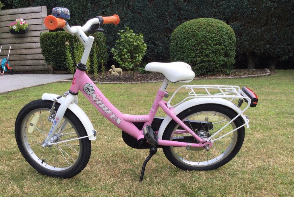 Kinderfietsje 16 inch, Ophalen, Gebruikt, 16 tot 20 inch