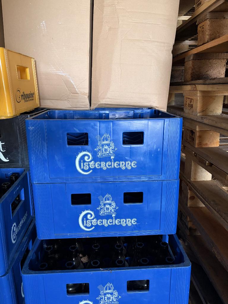 Leeggoed bierbakken, Doe-het-zelf en Bouw, Kratten en Dozen, Gebruikt, Krat, 50 tot 75 cm, Minder dan 35 cm, Minder dan 40 cm