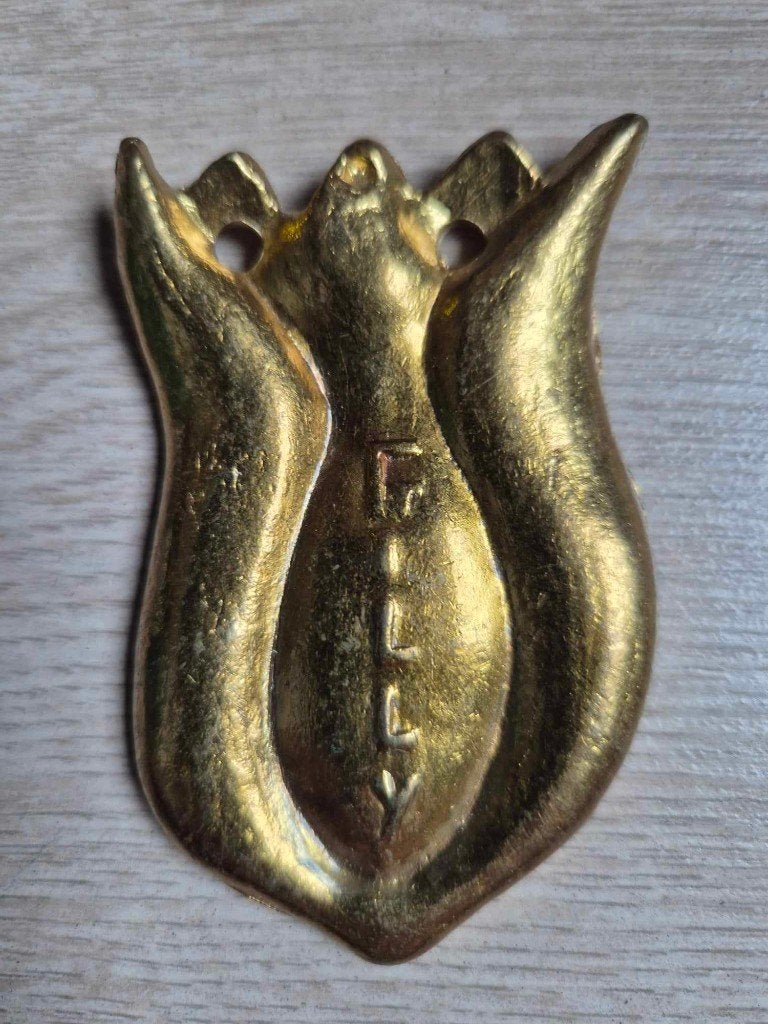 Carnaval Aalst medaille Bloemenfee Gilly 1976, Enlèvement ou Envoi