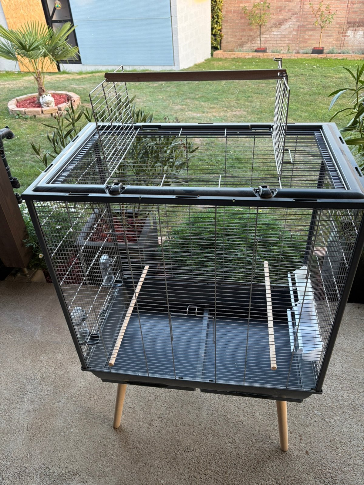 Grande cage, Plusieurs animaux, Perruche, Domestique