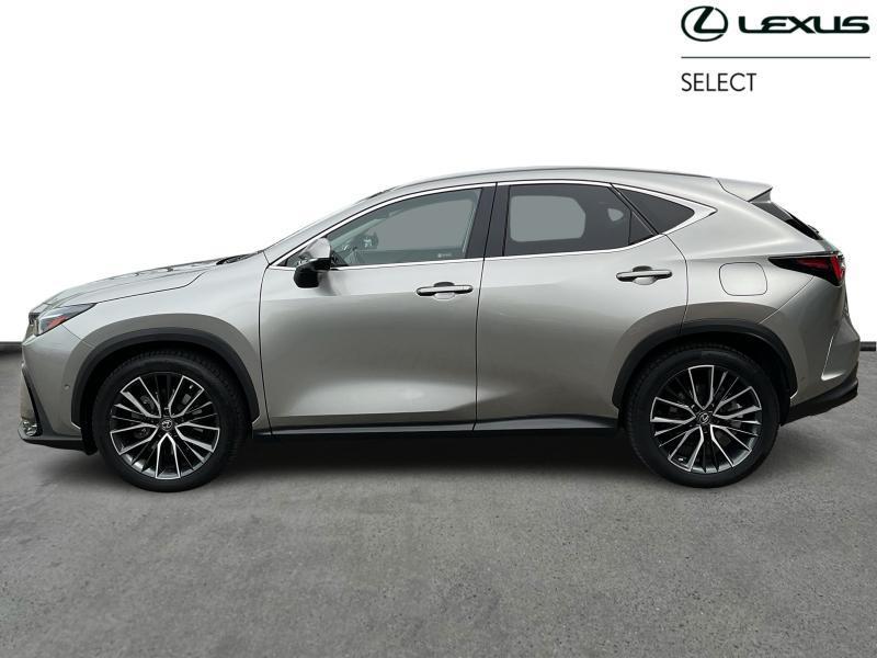 Lexus NX 450h+ Privilege Line PHEV, Auto's, Lexus, Automaat, 2487 cc, 137 kW, Parkeersensor
