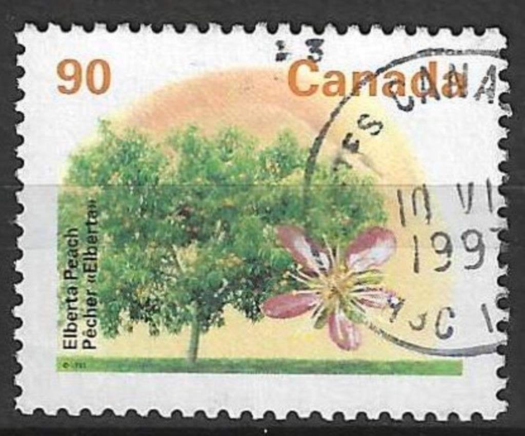 Canada 1995 - Yvert 1421 - Flore - Arbres fruitiers (ST), Timbres & Monnaies, Timbres | Amérique, Affranchi, Envoi