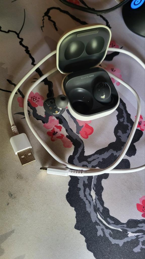 Samsung Galaxy Buds2, Enlèvement