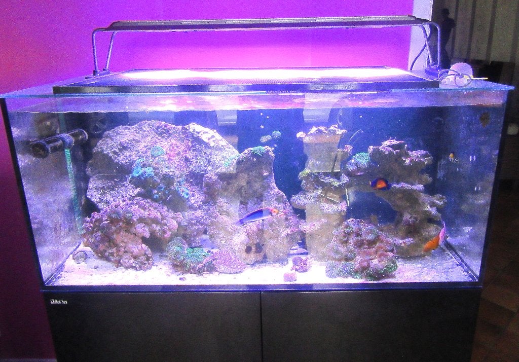 aquarium marin recifal, Aquarium vide, Enlèvement, Utilisé, Chauffage