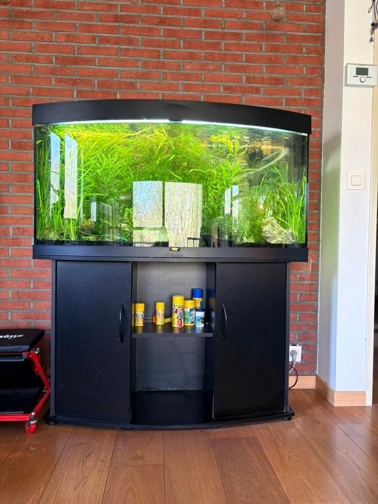 aquarium met vissen, Dieren en Toebehoren, Ophalen, Gebruikt, Gevuld zoetwateraquarium