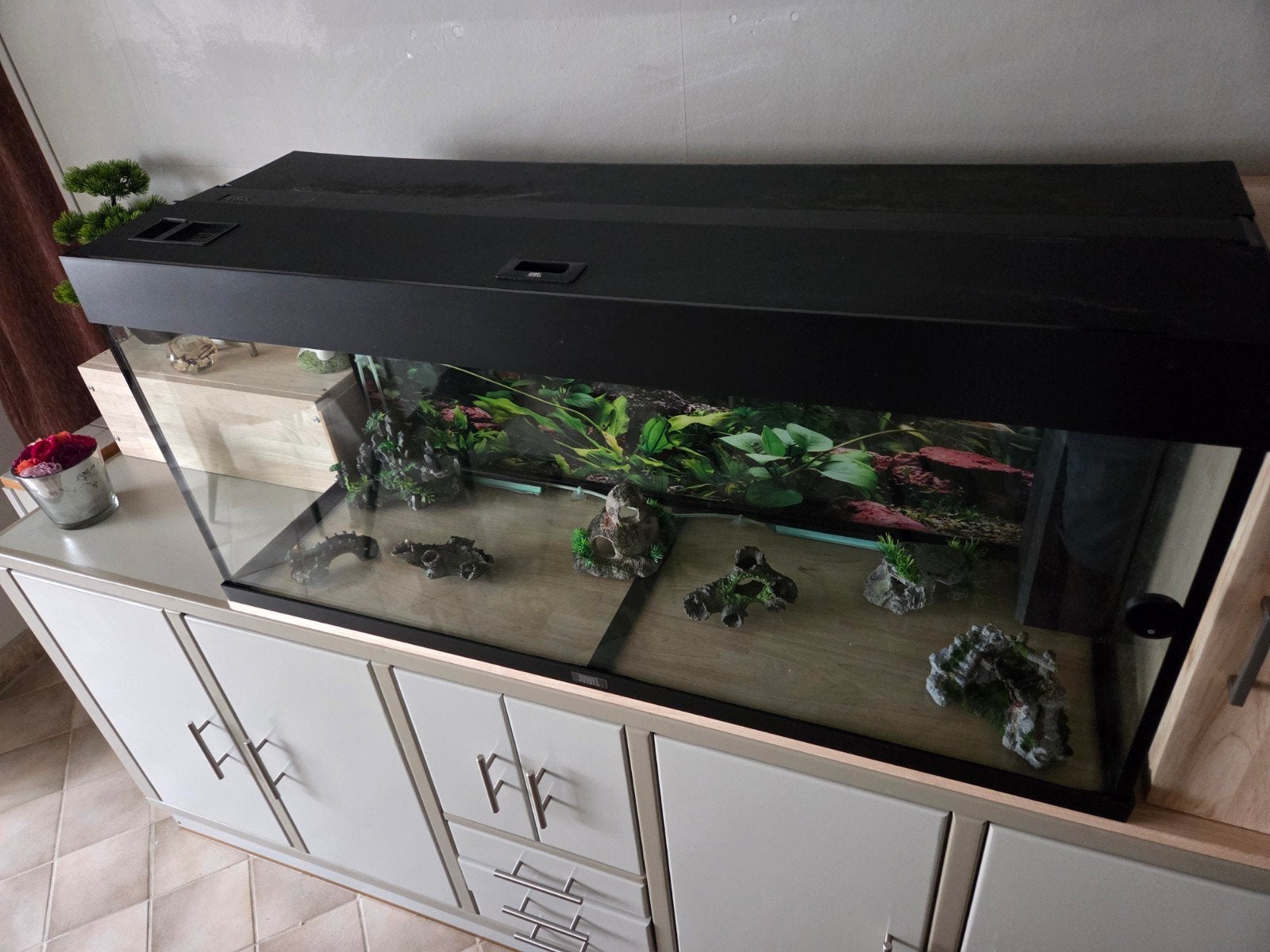 Aquarium met alle toebehoren., Ophalen