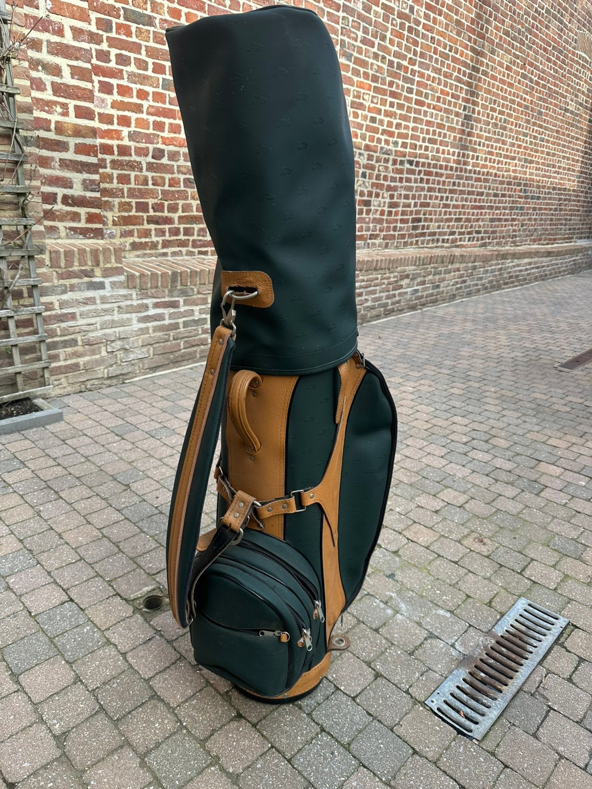 Jaguar golfzak + meerdere clubs, Sport en Fitness, Golf, Ophalen, Zo goed als nieuw