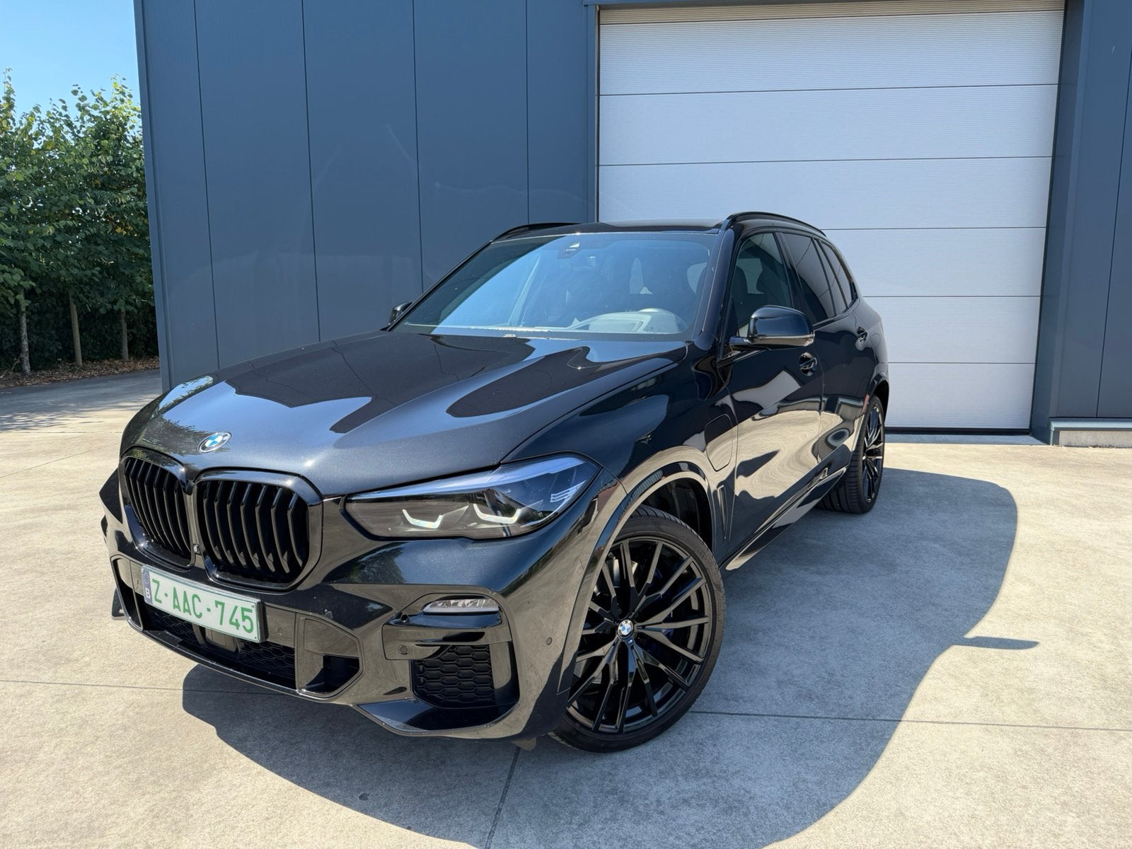 Bmw X5 Xdrive45e, Automaat, Dealer onderhouden, https://public.car-pass.be/vhr/6f688dd9-d707-4ab4-b7d6-1d5bbc595964?lang=nl, 2525 kg